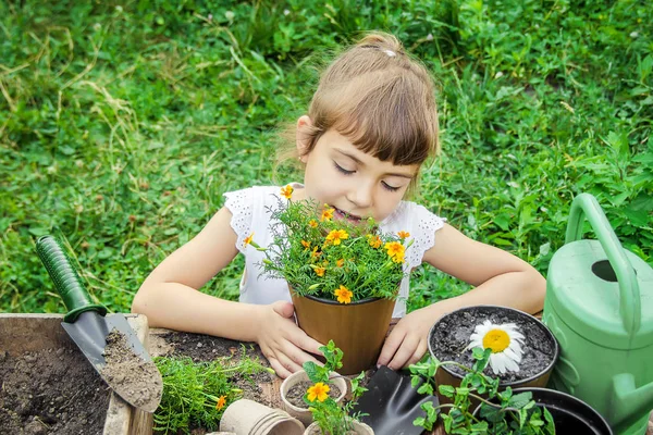 Seorang gadis kecil menanam bunga. Tukang kebun muda. Fokus selektif. — Stok Foto