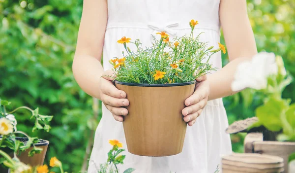 Une petite fille plante des fleurs. Le jeune jardinier. Concentration sélective. — Photo