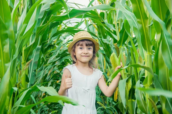 Enfant dans le champ de maïs. un petit fermier. focus sélectif . — Photo