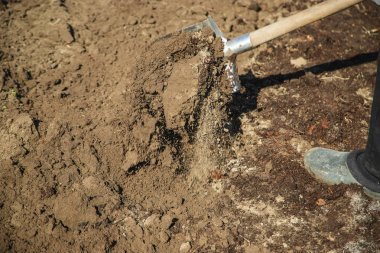 Bir bahçe küreği kazmak. Bahçe. Seçici odak.