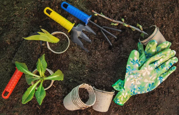 Land- und Gartenbedarf. Garten. Selektiver Fokus. — Stockfoto