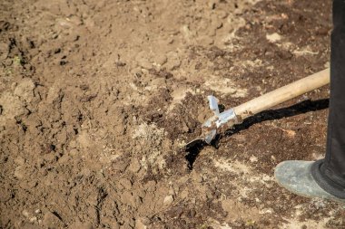 Bir bahçe küreği kazmak. Bahçe. Seçici odak.