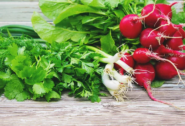 Beyaz ahşap zemin üzerinde farklı homegrown sebze. seçici odak.