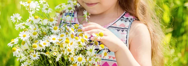 Mädchen mit Kamille. Selektiver Fokus. Naturblumen. — Stockfoto