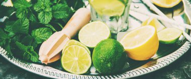 Limon ve nane iç. Seçici odak. Gıda.