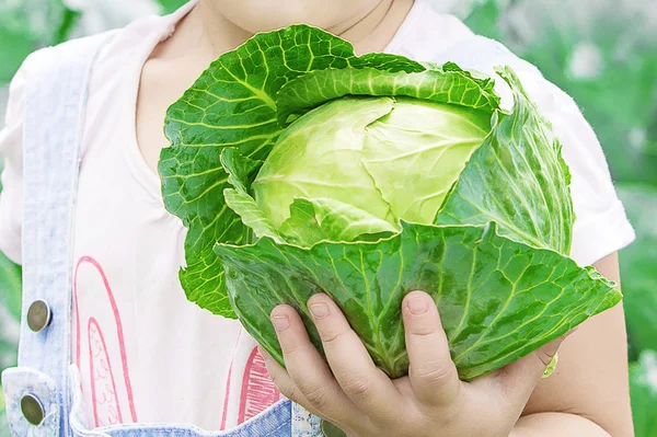 Bambino e verdure in azienda. Focus selettivo . — Foto Stock