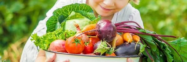 Barn och grönsaker på gården. Selektivt fokus. — Stockfoto