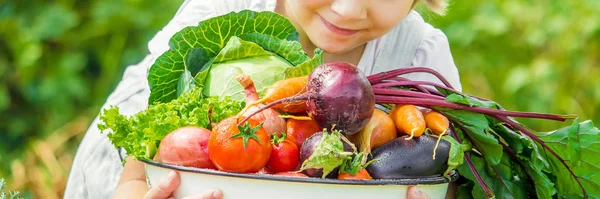 Kind en fruit op de boerderij. Selectieve aandacht. — Stockfoto