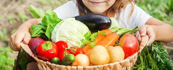 Παιδί και λαχανικά στο αγρόκτημα. Επιλεκτική εστίαση. — Φωτογραφία Αρχείου