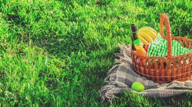 Ekose Çimlerde piknik için. Seçici odak.