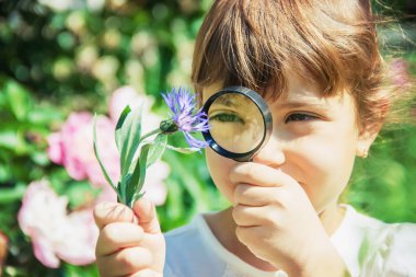 Çocuk bir büyüteç içine bakıyor. Arttır. seçici odak.