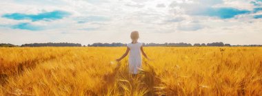 Buğday tarlasında bir çocuk. seçici odak.