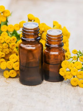 solucan otu şifalı özü, tentür, kaynatma, petrol, küçük bir şişe içinde.