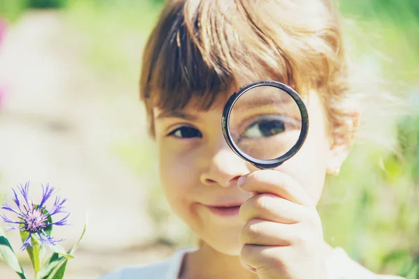 Il bambino sta guardando in una lente d'ingrandimento. Aumentare. focus selettivo. — Foto Stock