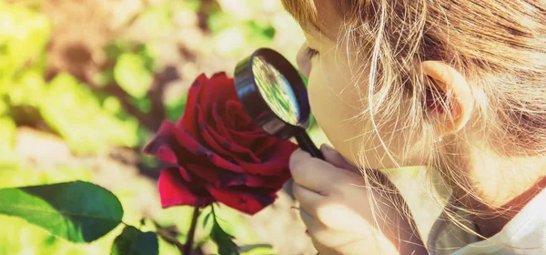 Il bambino sta guardando in una lente d'ingrandimento. Aumentare. focus selettivo. — Foto Stock