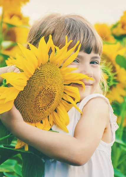 Kind auf dem Sonnenblumenfeld ist ein Kleinbauer. Selektiver Fokus. — Stockfoto