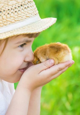 Çocuk bir tavuk elinde tutar. Seçici odak.