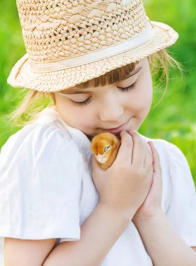 Çocuk bir tavuk elinde tutar. Seçici odak.