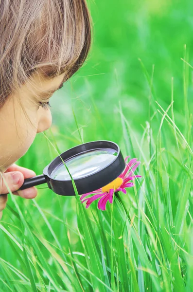 Il bambino sta guardando in una lente d'ingrandimento. Aumentare. focus selettivo. — Foto Stock