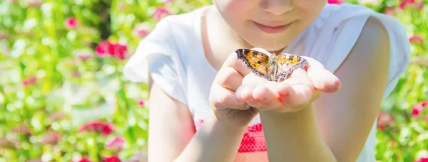 Niño con una mariposa. Idea leuconoe. Enfoque selectivo. —  Fotos de Stock