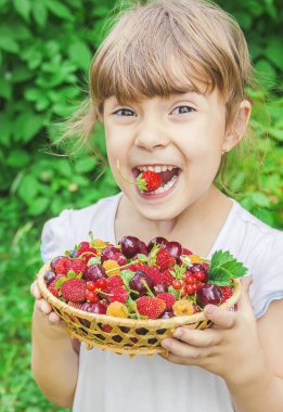 Çocuk bahçede kiraz topluyor. Seçici odak.