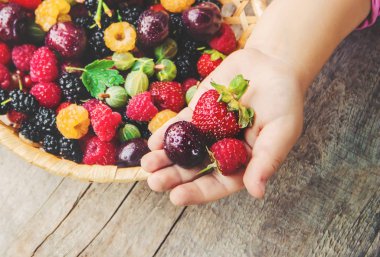 Çocuk bahçede kiraz topluyor. Seçici odak.