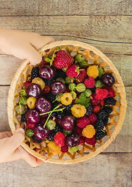 Çocuk bahçede kiraz topluyor. Seçici odak.