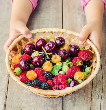 Çocuk bahçede kiraz topluyor. Seçici odak.
