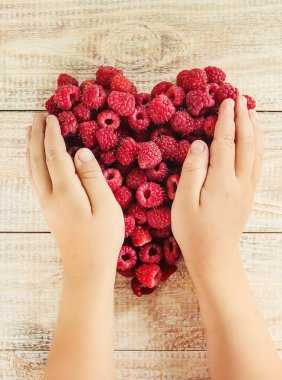 Çocuk bahçede kiraz topluyor. Seçici odak.