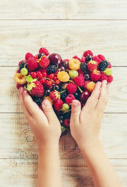 Çocuk bahçede kiraz topluyor. Seçici odak.