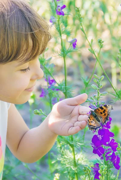 Ребенок с бабочкой. Идея лейконо. Селективный фокус. — стоковое фото