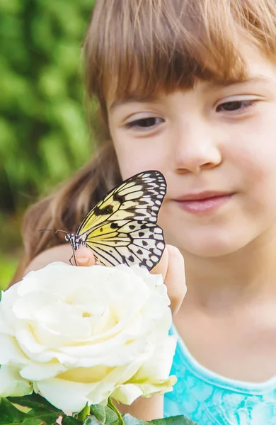 Kind mit einem Schmetterling. Idee leuconoe. Selektiver Fokus. — Stockfoto