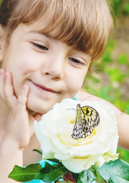 Kind mit einem Schmetterling. Idee leuconoe. Selektiver Fokus. — Stockfoto