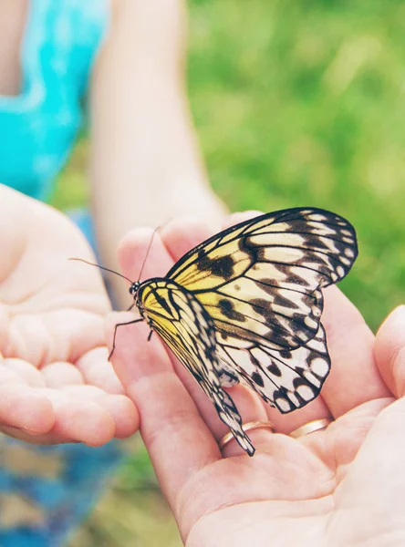 Kind mit einem Schmetterling. Idee leuconoe. Selektiver Fokus. — Stockfoto