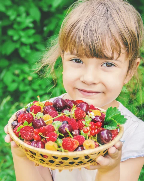 Ребенок собирает вишни в саду. Селективный фокус. — стоковое фото