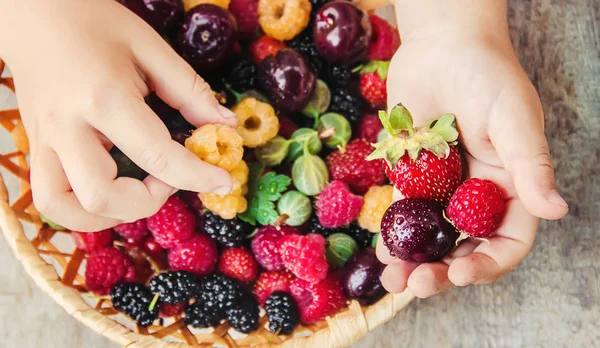 Çocuk bahçede kiraz topluyor. Seçici odak.