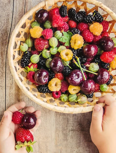 Çocuk bahçede kiraz topluyor. Seçici odak.