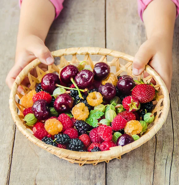 Çocuk bahçede kiraz topluyor. Seçici odak.