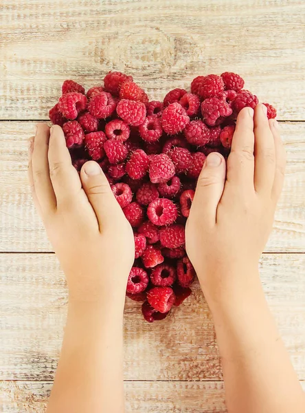 Çocuk bahçede kiraz topluyor. Seçici odak.