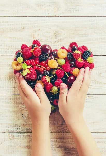 Çocuk bahçede kiraz topluyor. Seçici odak.