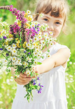 Bir buket kır çiçeği olan çocuk. Seçici odaklama.