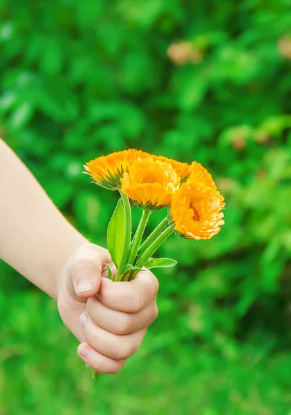 The child gives the flower to his mother. Selective focus.