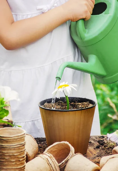 Uma menina está plantando flores. O jovem jardineiro. Foco seletivo. — Fotografia de Stock