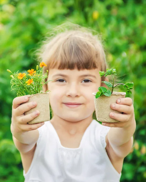 Une petite fille plante des fleurs. Le jeune jardinier. Concentration sélective. — Photo