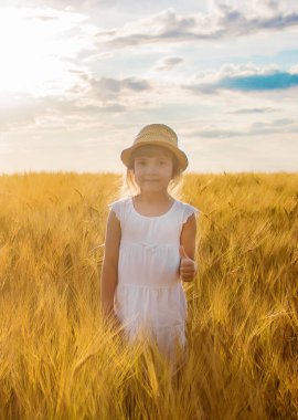 Buğday tarlasında bir çocuk. Seçici odaklanma. Doğa