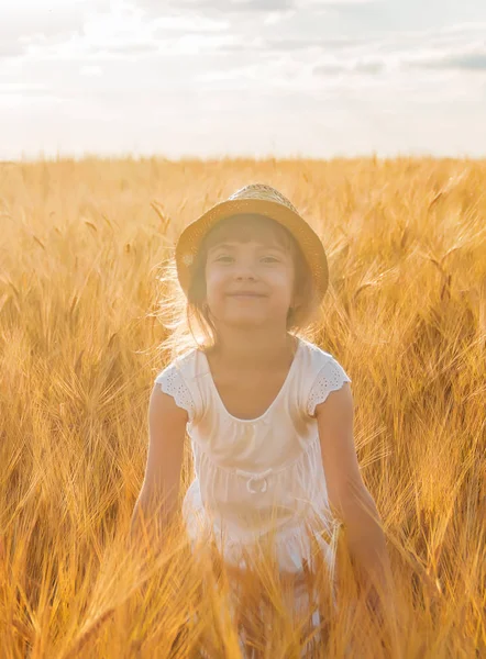 Buğday tarlasında bir çocuk. Seçici odaklanma. Doğa — Stok fotoğraf