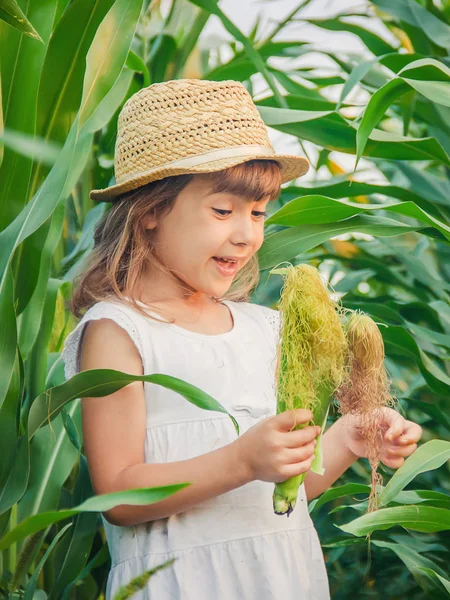 Child in the field of corn. a small farmer. selective focus. — Stock Photo, Image