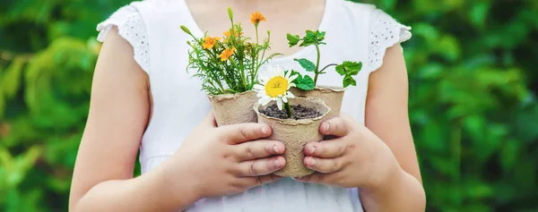 Une petite fille plante des fleurs. Le jeune jardinier. Concentration sélective. — Photo