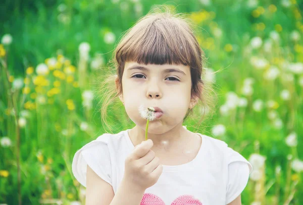 Chica soplando dientes de león en el aire. enfoque selectivo . — Foto de Stock