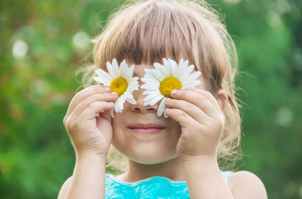 La chica sostiene flores de manzanilla en sus manos. Enfoque selectivo . — Foto de Stock